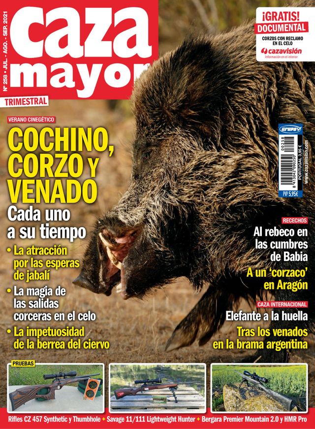 Caza Mayor