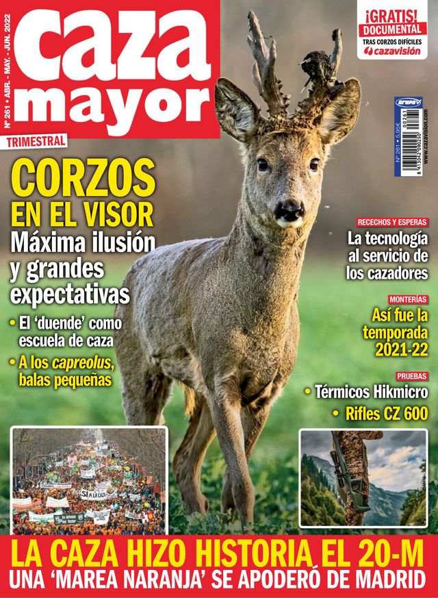 Caza Mayor