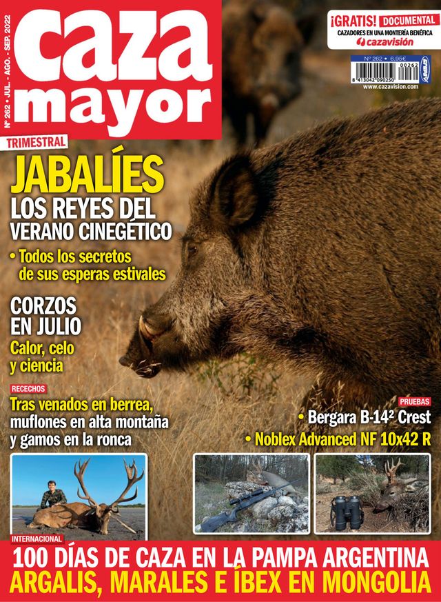 Caza Mayor