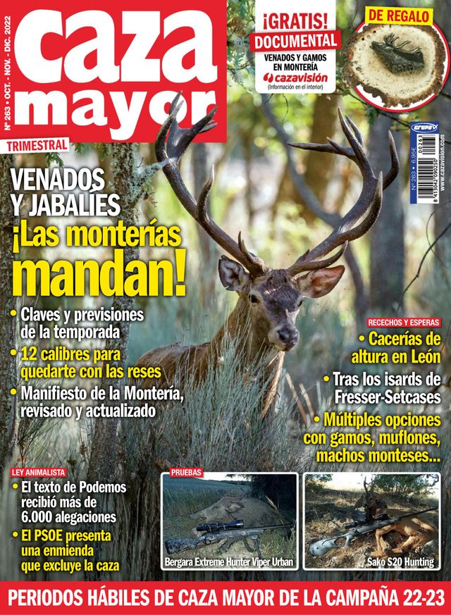 Caza Mayor