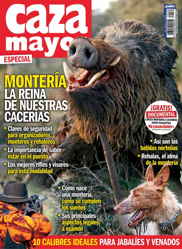 Caza Mayor