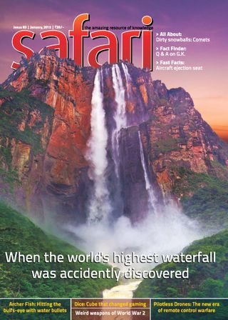 Safari Magazine - January, 2015 Safari Magazine Cover - January, 2015 Edition