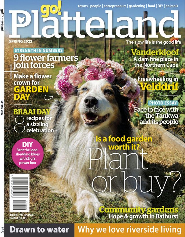 go! Platteland