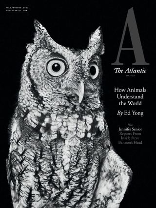 The Atlantic