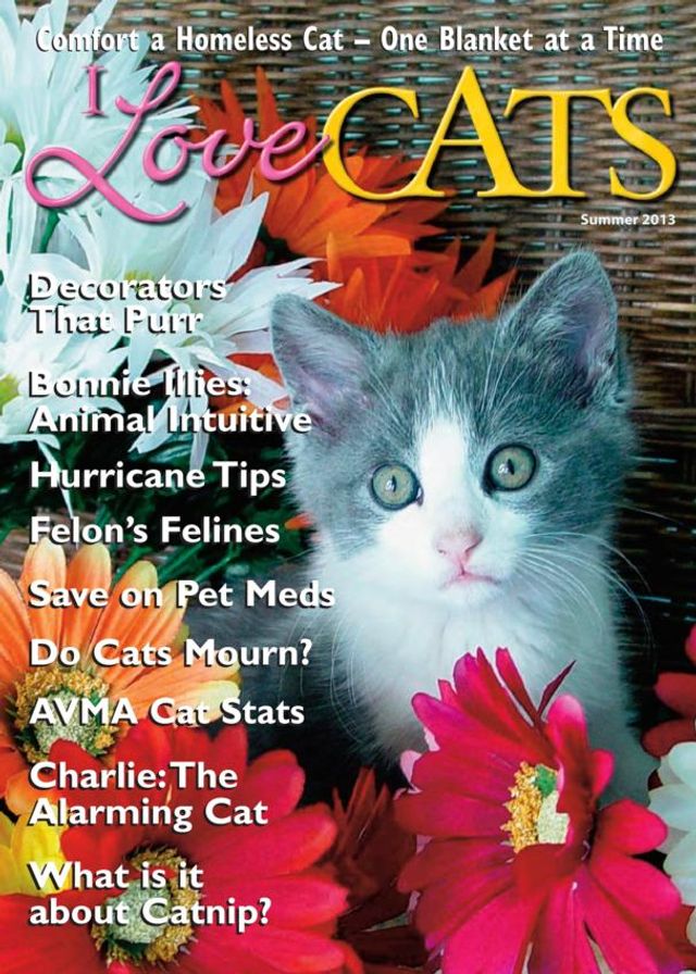I Love Cats Magazine
