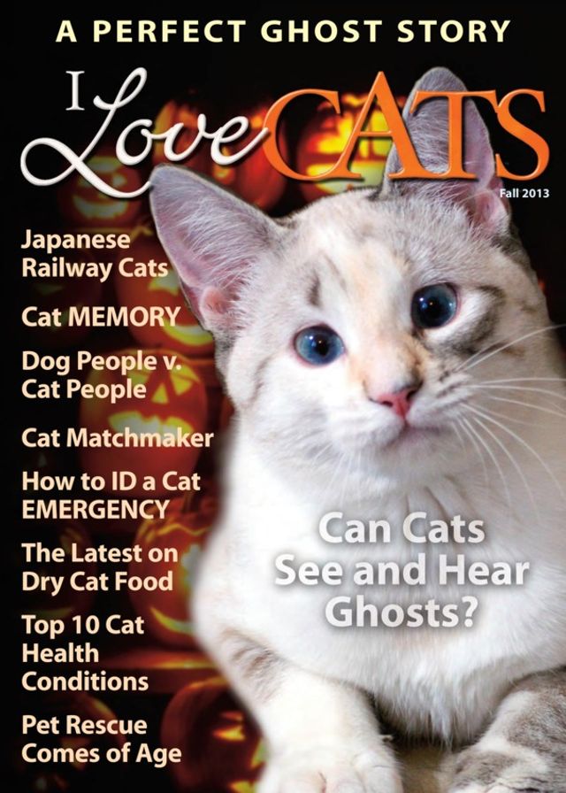 I Love Cats Magazine