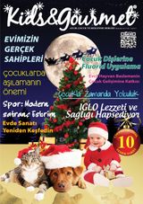 Aralik 2013