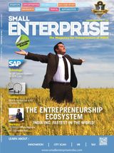 Small Enterprise - December 2015 December 2015