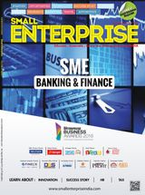 Small Enterprise - January 2017 January 2017