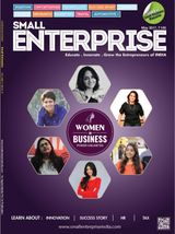 Small Enterprise - May 2017 May 2017