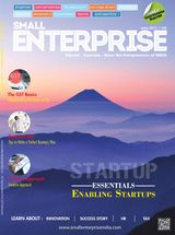 Small Enterprise - June 2017 June 2017