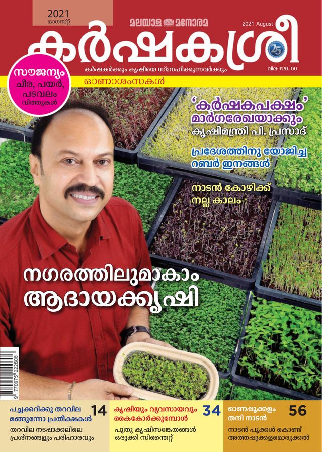 Vuélvete ilimitado con Magzter GOLD