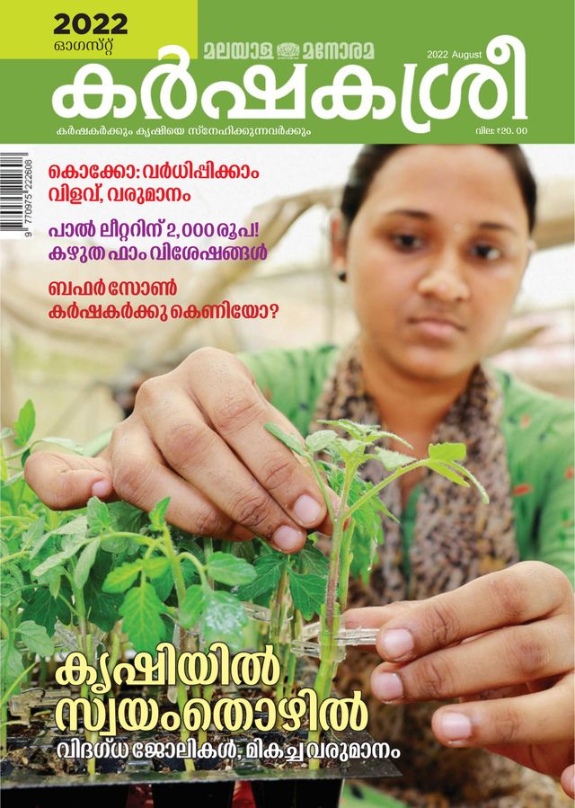 Vuélvete ilimitado con Magzter GOLD