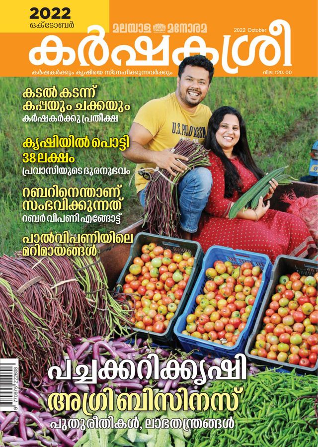 Vuélvete ilimitado con Magzter GOLD