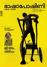 Bashaposhini