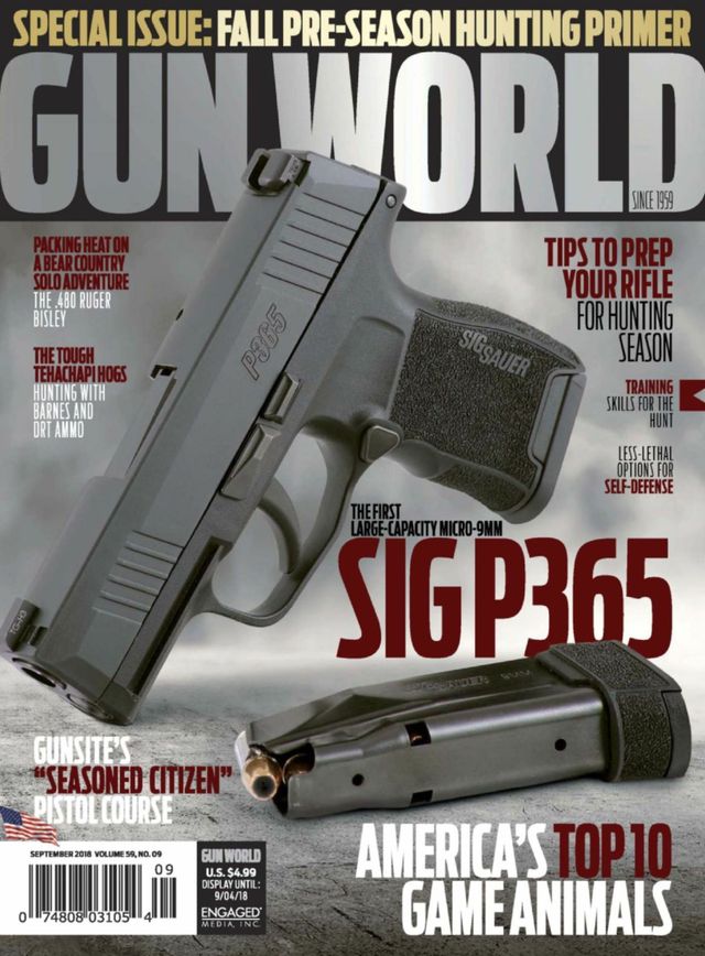 Gun World