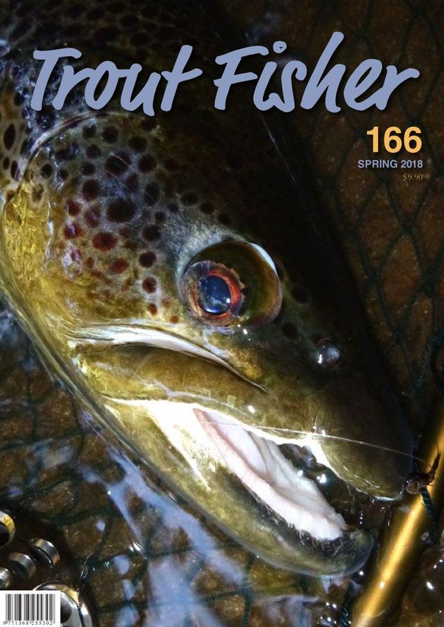 NZ Trout Fisher