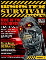 Issue 2