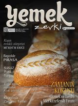 Kasım 2025