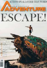 February - March 2019