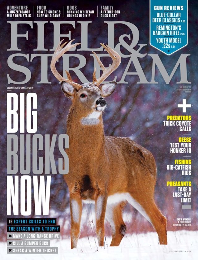 Field & Stream