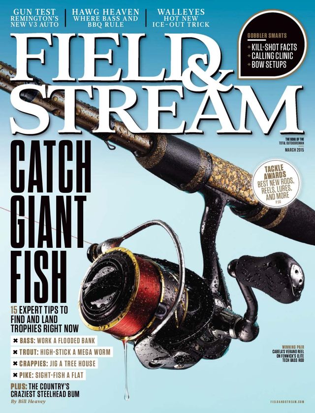 Field & Stream