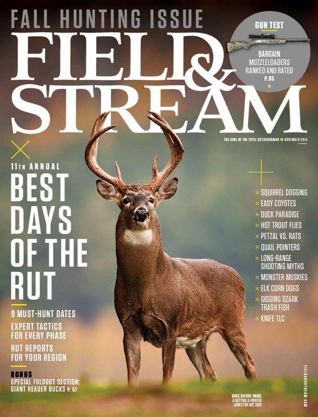 Field & Stream