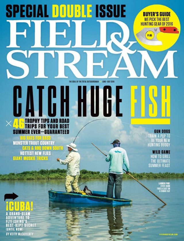Field & Stream