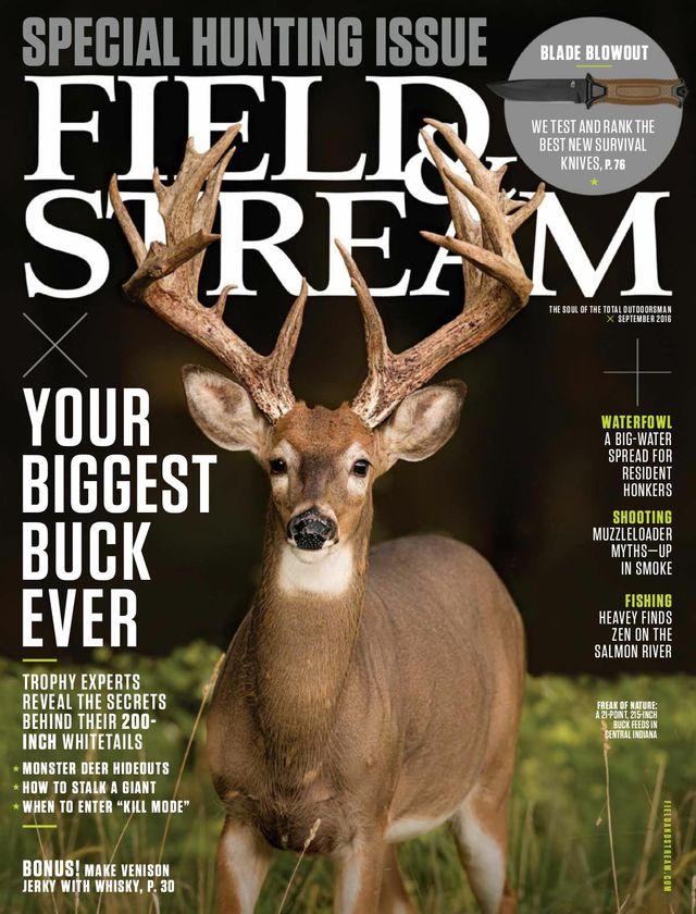 Field & Stream