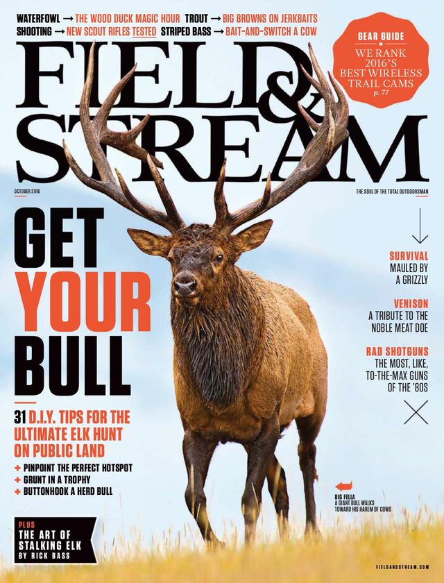 Field & Stream
