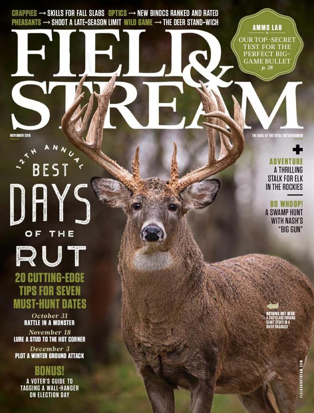 Field & Stream