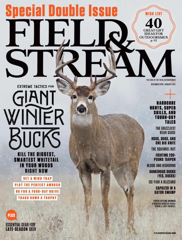 Field & Stream