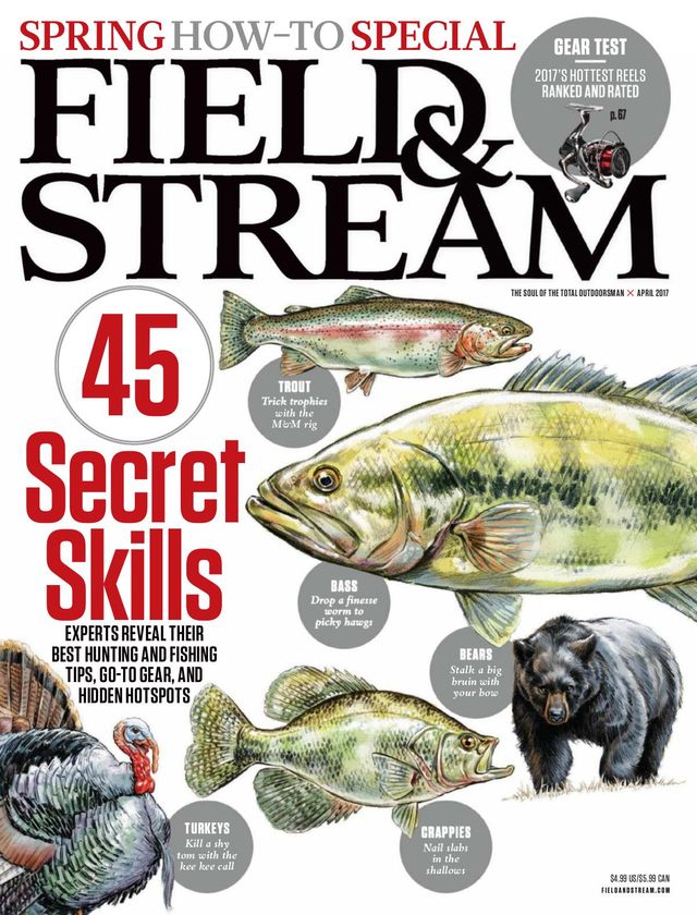 Field & Stream