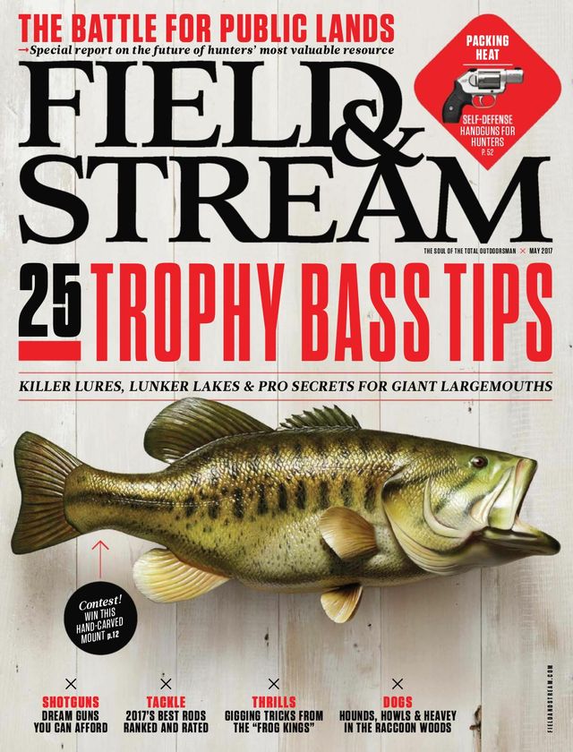 Field & Stream