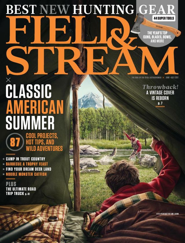 Field & Stream