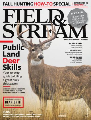 Field & Stream