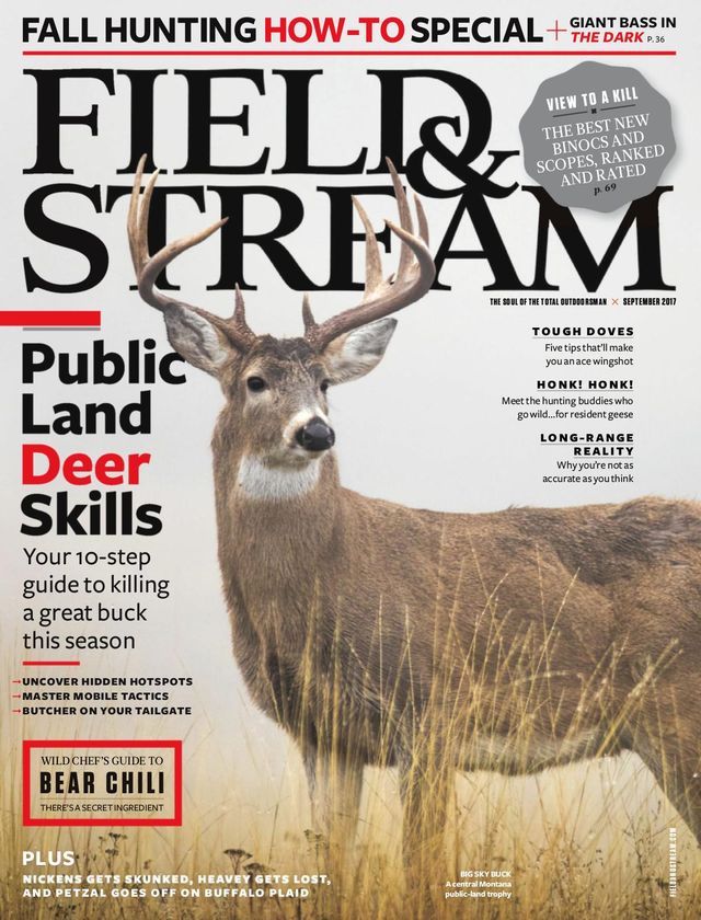 Field & Stream