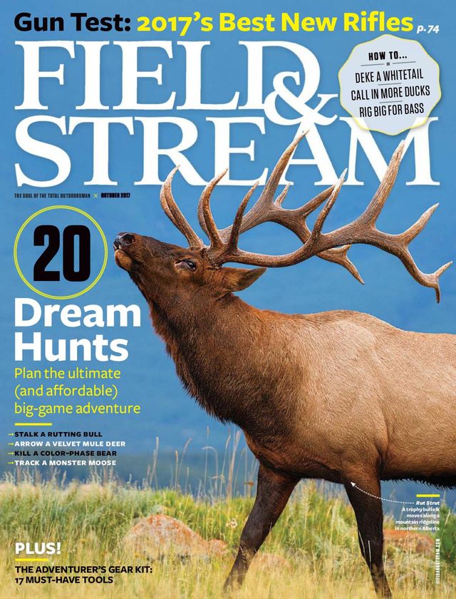 Field & Stream