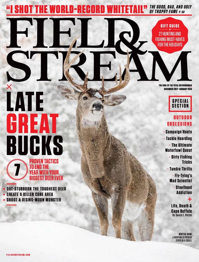 Field & Stream