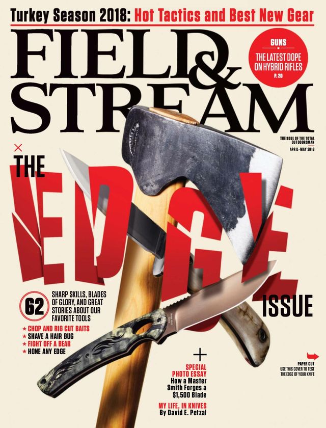 Field & Stream