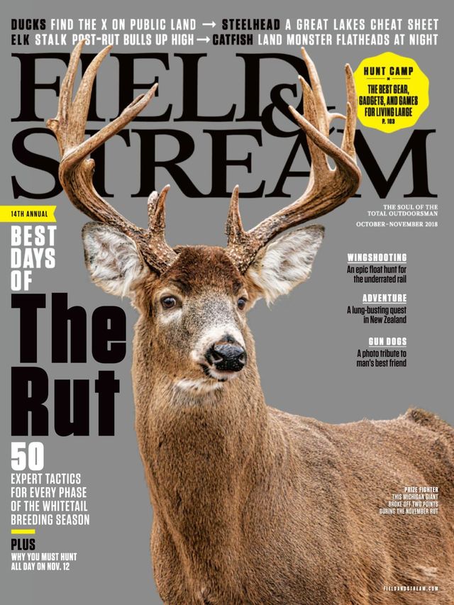 Field & Stream