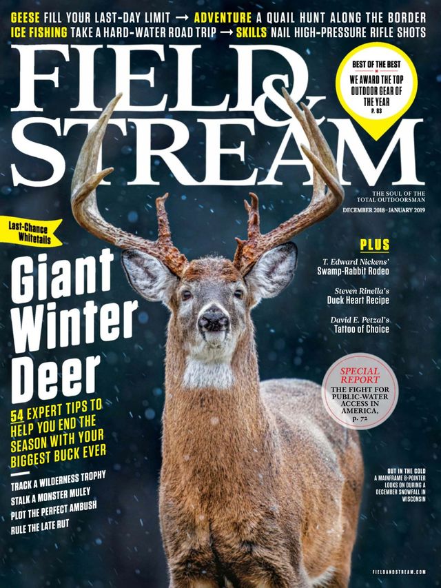 Field & Stream