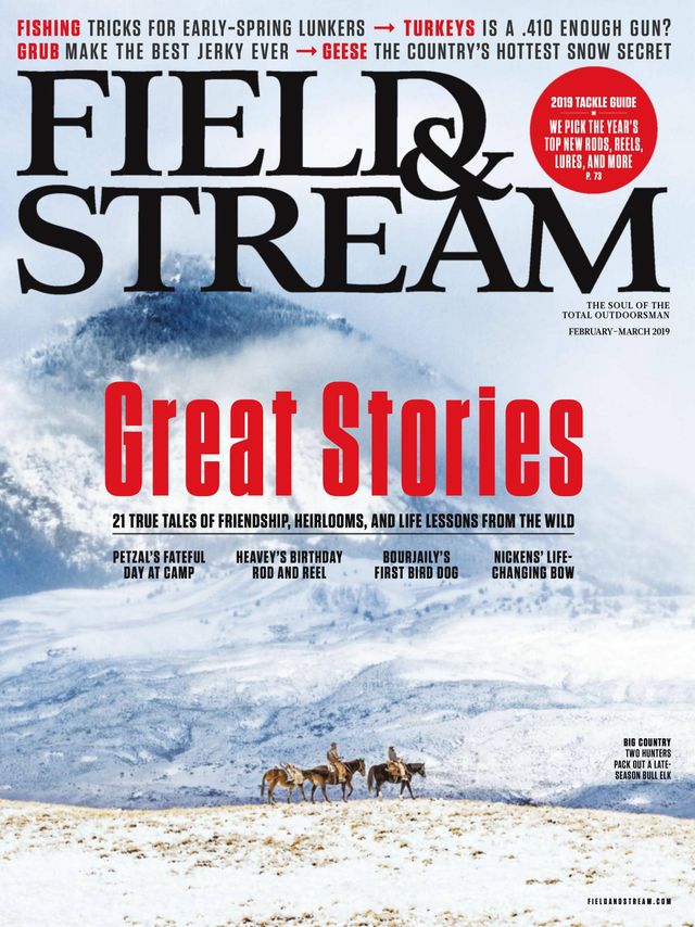 Field & Stream
