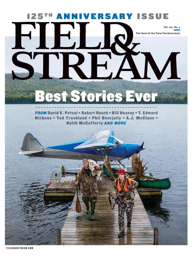 Field & Stream