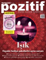 Issue 12 / 2015