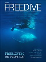 Issue 1
