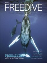 Issue 2