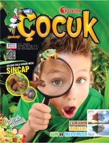 Mart 2014