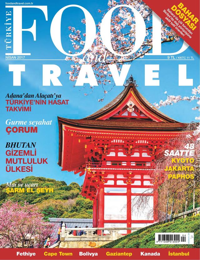 Food and Travel Turkiye