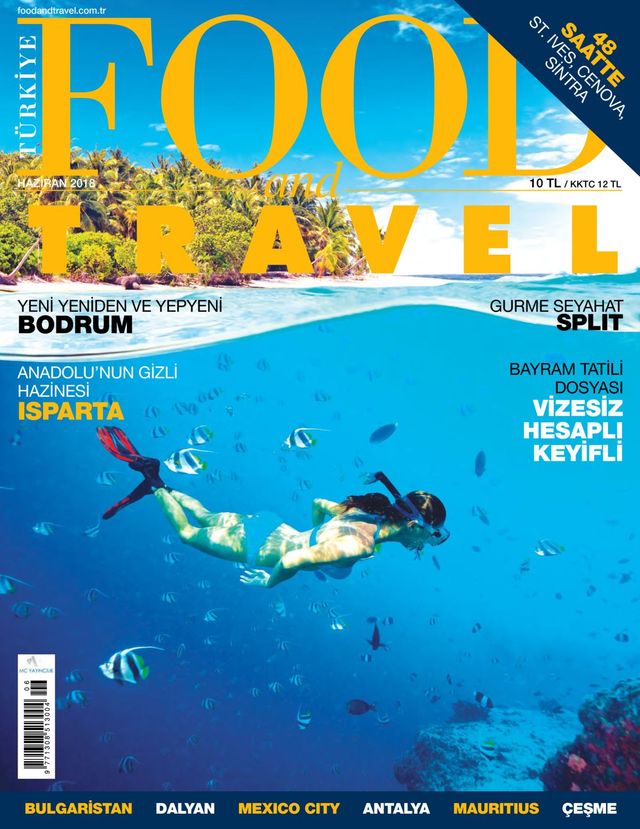 Food and Travel Turkiye